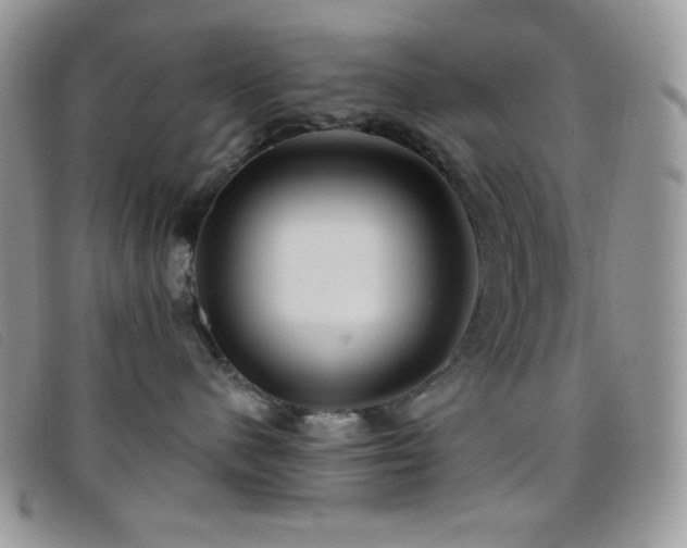 X0000095960480200801111406