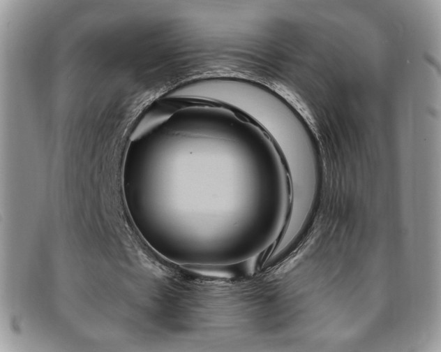 X0000095960481200801111405