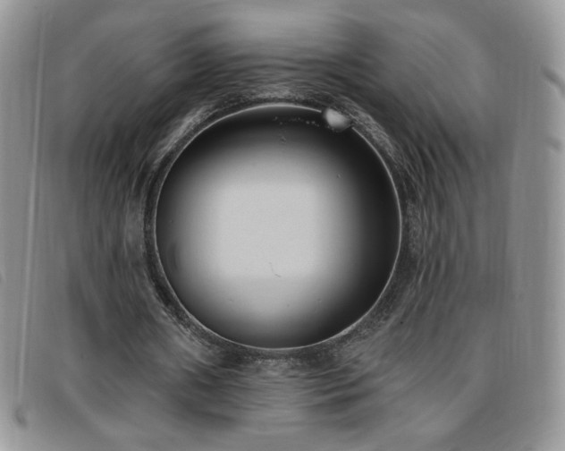 X0000095960482200801111405