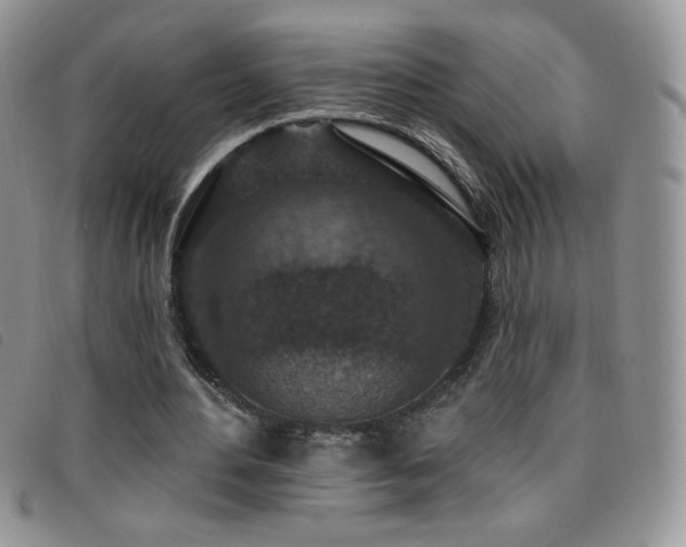 X0000095960484200801111405