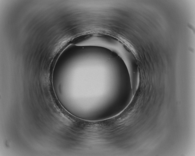 X0000095960485200801111405