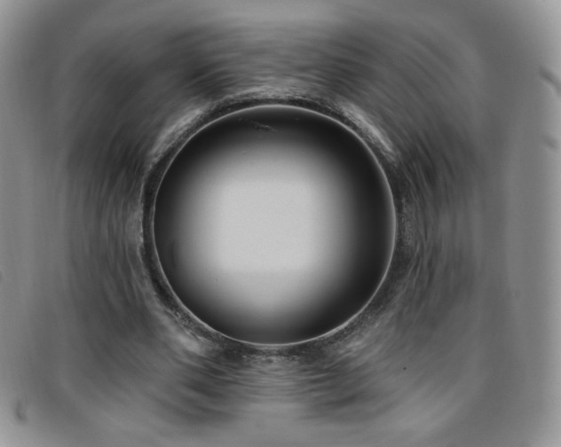 X0000095960486200801111405