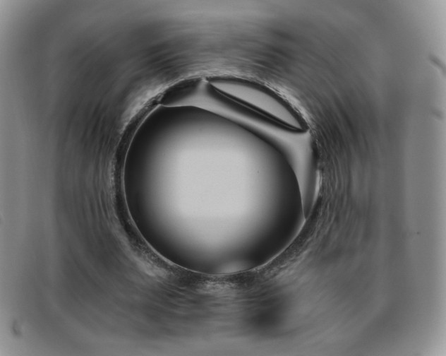 X0000095960487200801111405