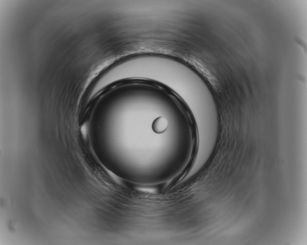 X0000095960488200801111405