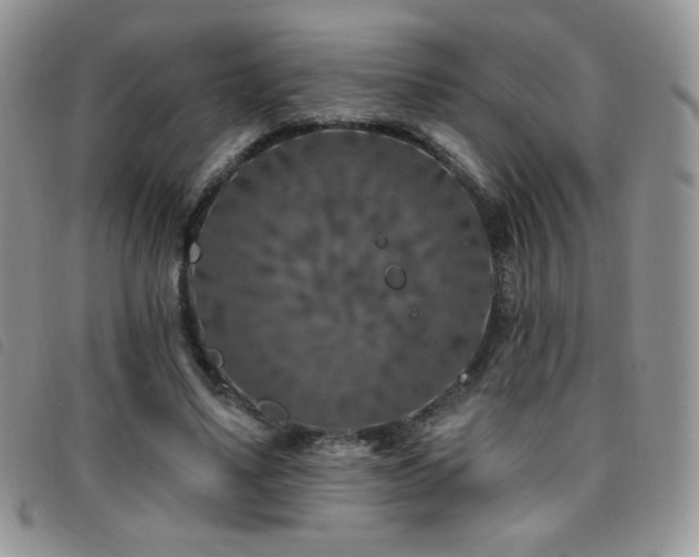 X0000095960491200801111405