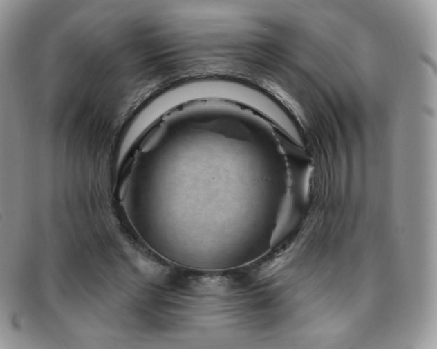 X0000095960493200801111405