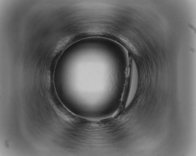 X0000095960494200801111405