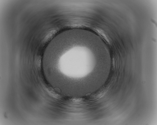 X0000095960495200801111405
