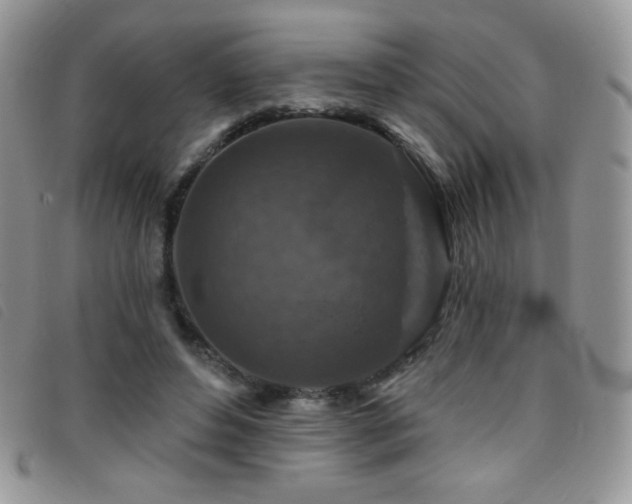 X0000095960496200801111405