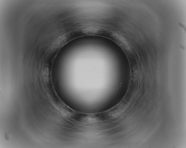 X0000095960498200801111405