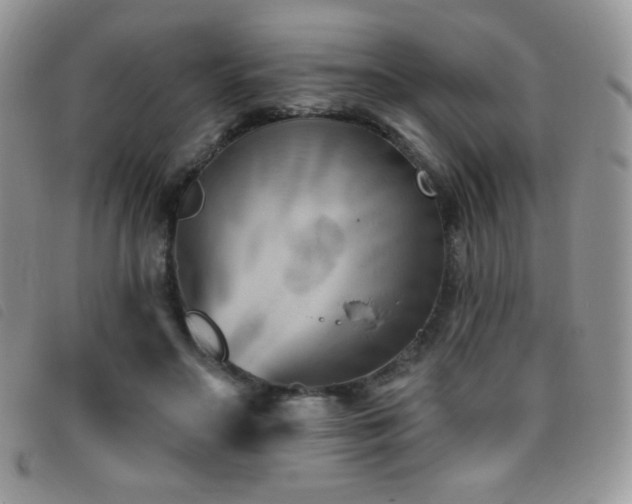 X0000095960499200801111405