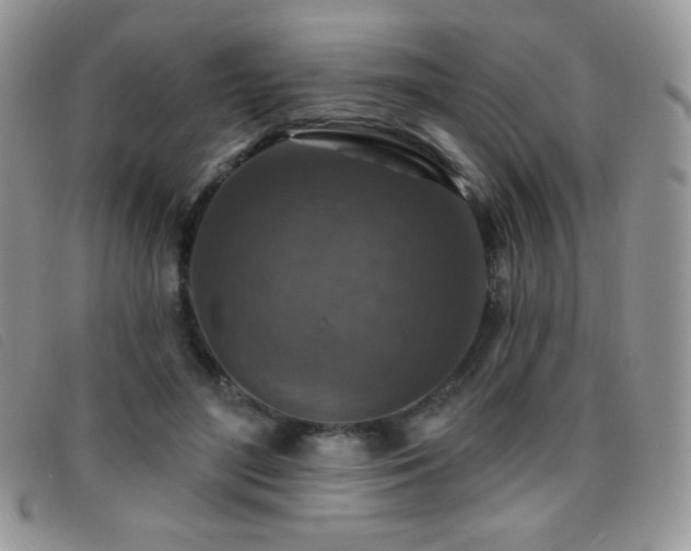 X0000095960500200801111405