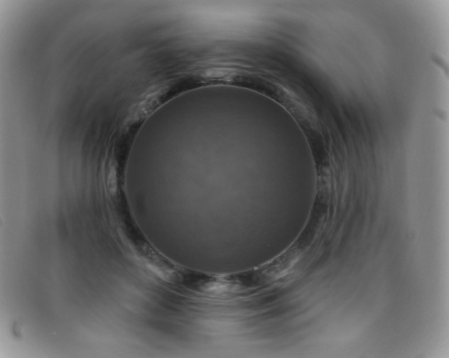 X0000095960504200801111405