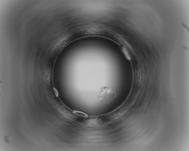 X0000095960505200801111405