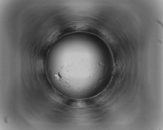 X0000095960506200801111405