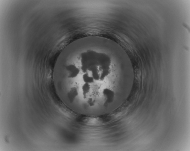X0000095960507200801111405