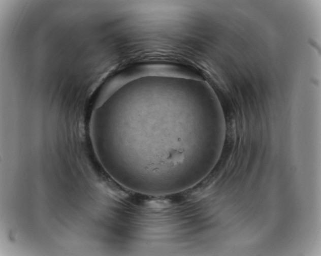X0000095960508200801111405