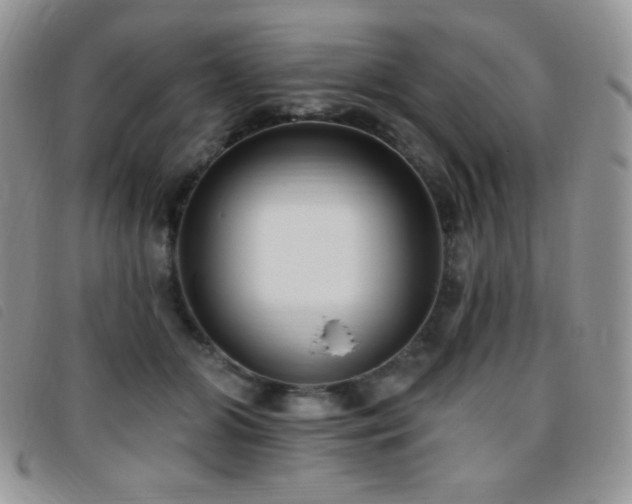 X0000095960510200801111405