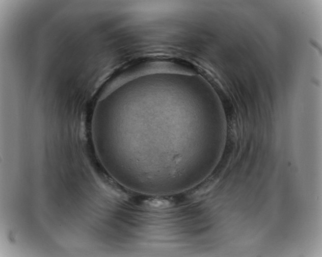 X0000095960512200801111405