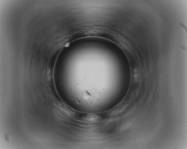 X0000095960514200801111405
