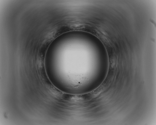 X0000095960515200801111405
