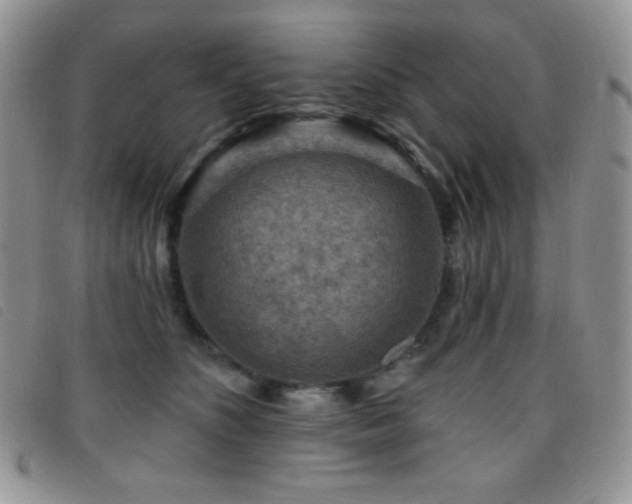 X0000095960516200801111405