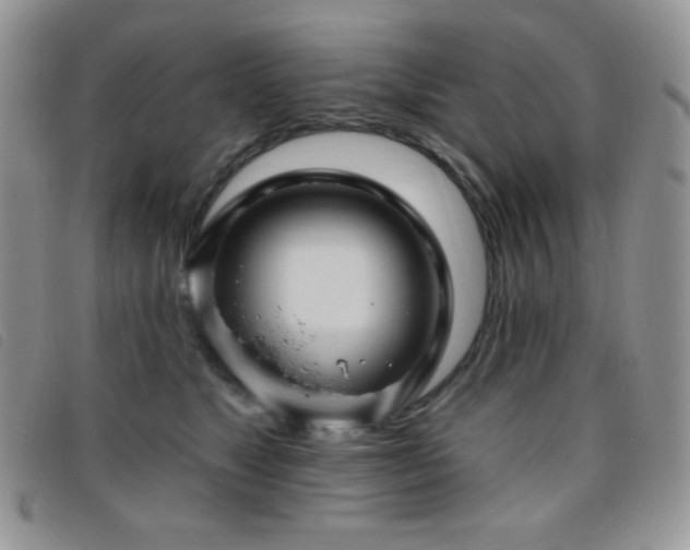 X0000095960517200801111405