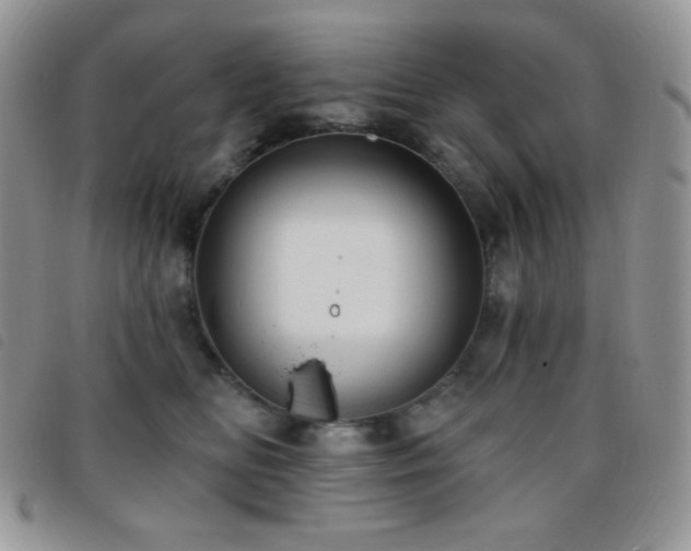 X0000095960518200801111405