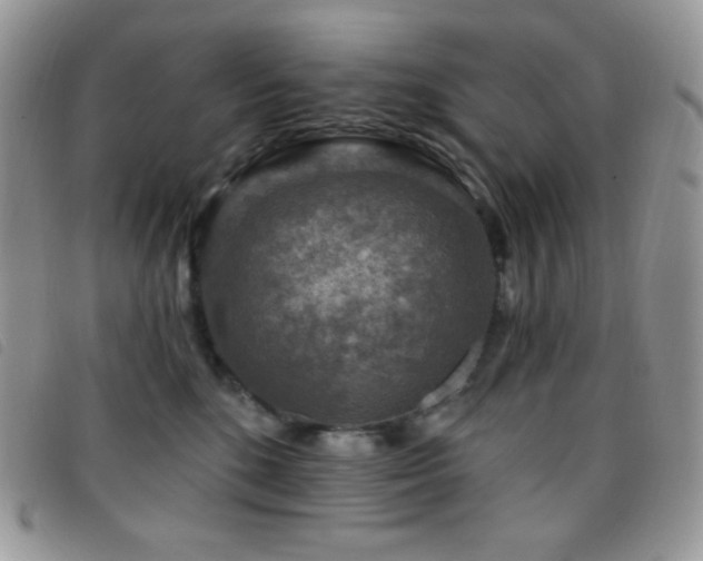 X0000095960520200801111405