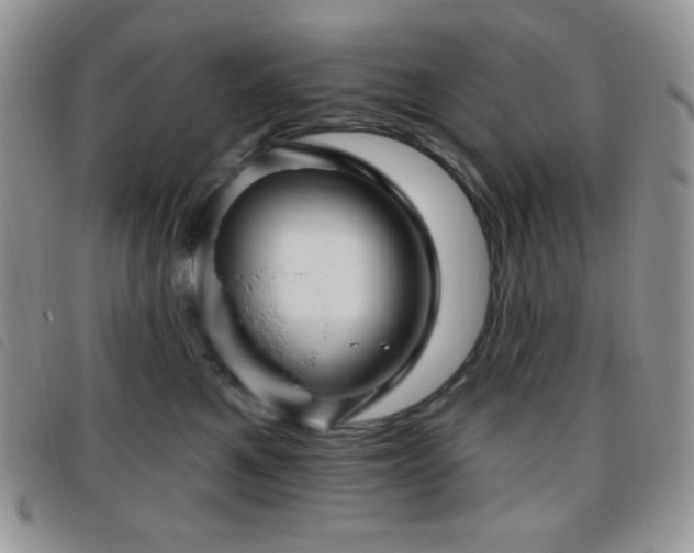 X0000095960521200801111405