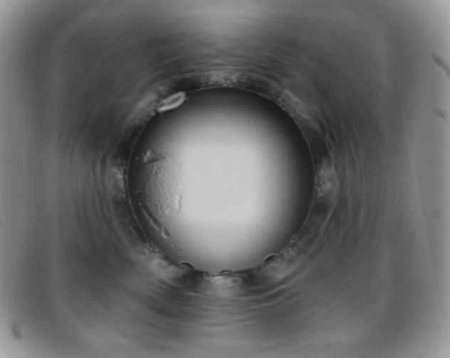 X0000095960522200801111405