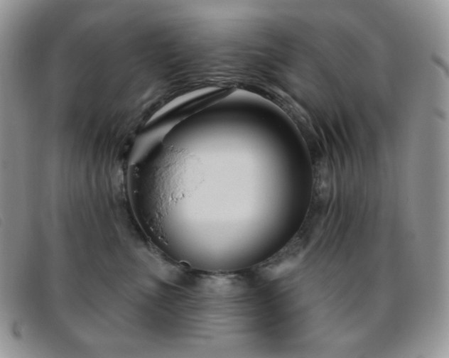 X0000095960523200801111405