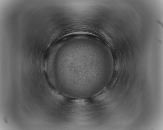 X0000095960524200801111405