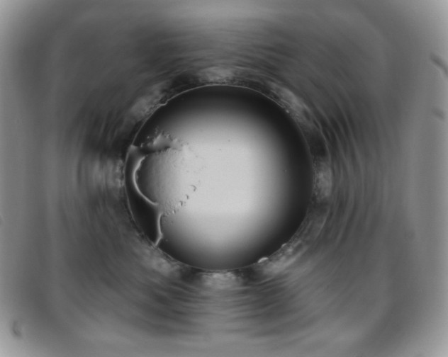 X0000095960525200801111404