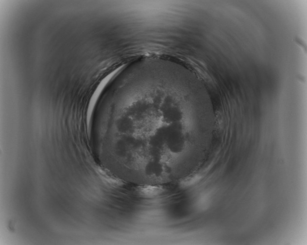 X0000095960527200801111404