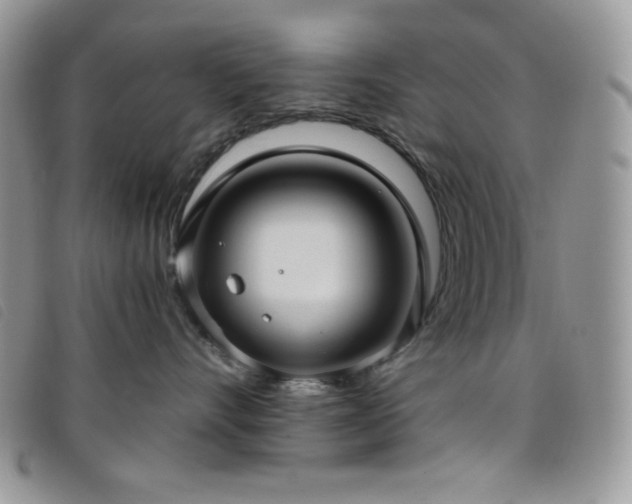 X0000095960528200801111404