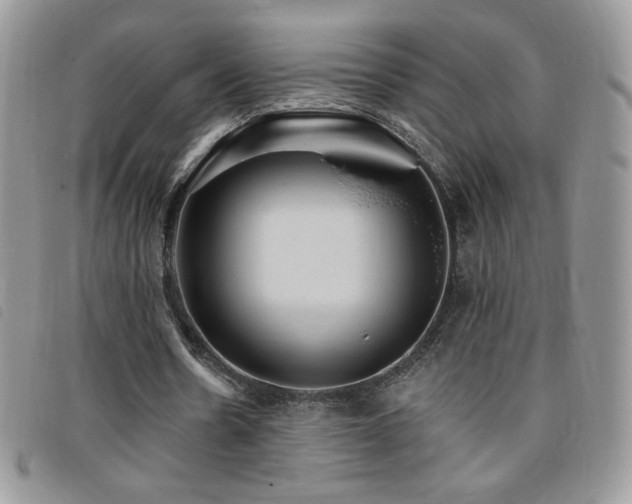 X0000095960530200801111404