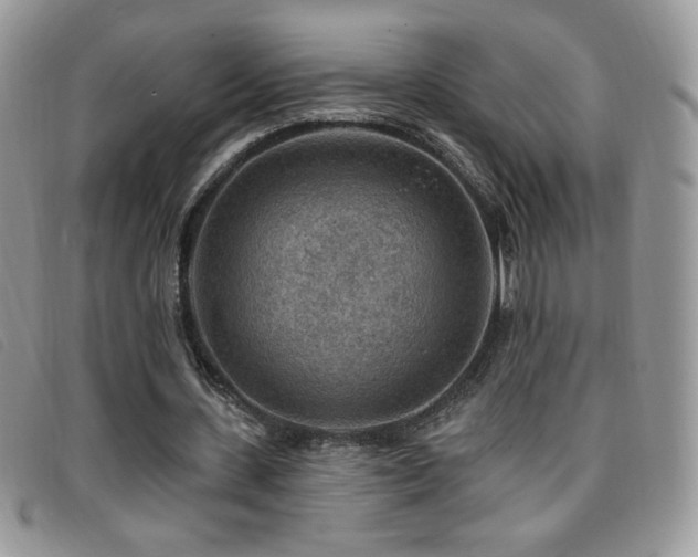 X0000095960531200801111404