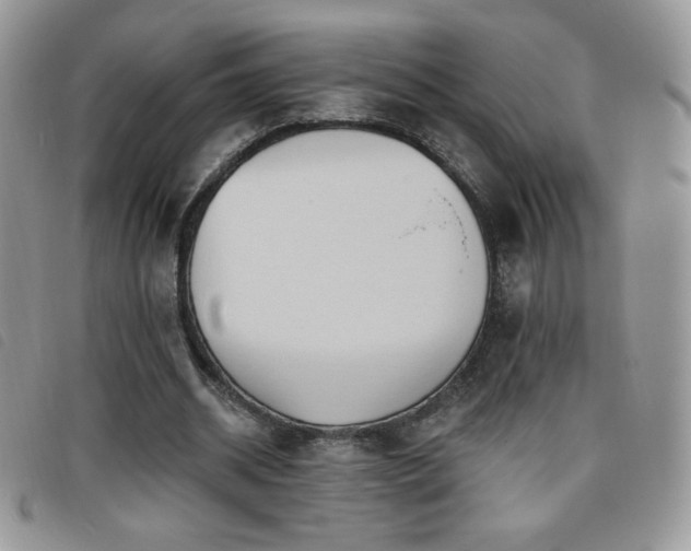 X0000095960534200801111404
