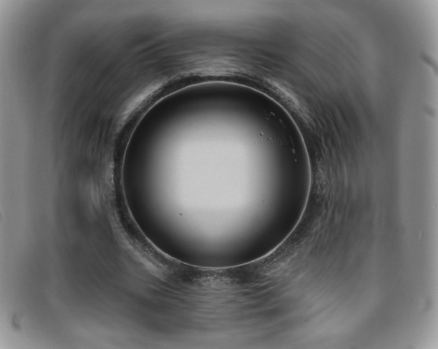 X0000095960535200801111404