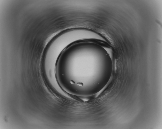 X0000095960536200801111404