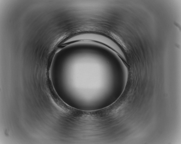 X0000095960538200801111404