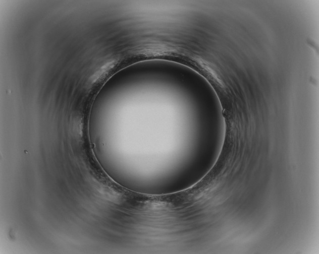 X0000095960539200801111404