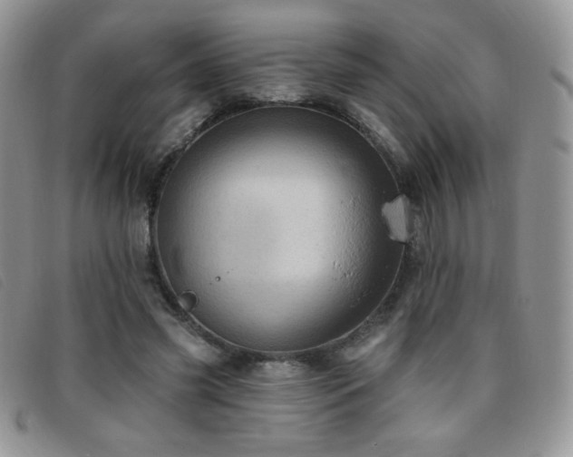 X0000095960541200801111404
