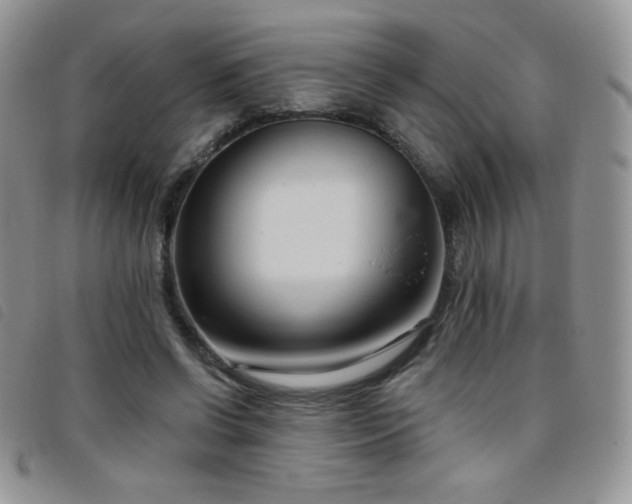 X0000095960542200801111404