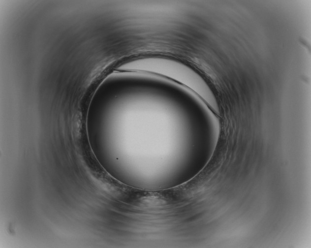 X0000095960544200801111404