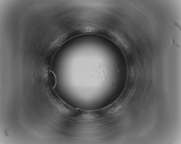 X0000095960545200801111404