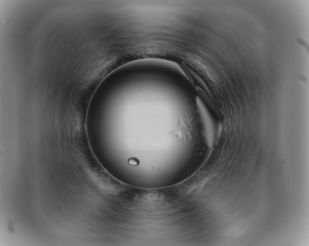 X0000095960546200801111404