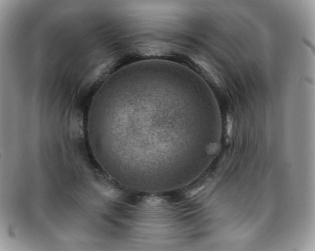 X0000095960547200801111404