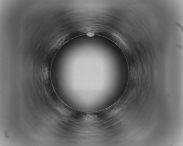 X0000095960549200801111404